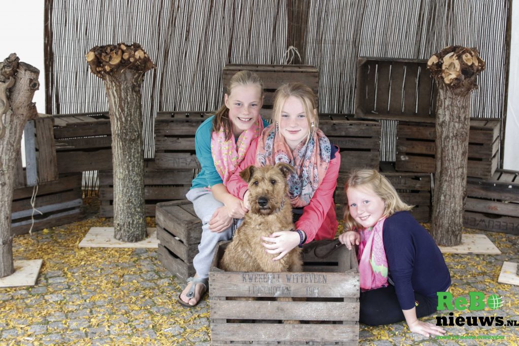 dier2 (1 van 1)