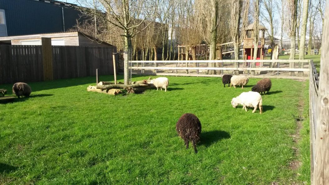 Zuid-Holland met kinderen; 75x bezienswaardigheden & activiteiten - Reisliefde Zuid-Holland met kinderen; 75x bezienswaardigheden & activiteiten - Reisliefde