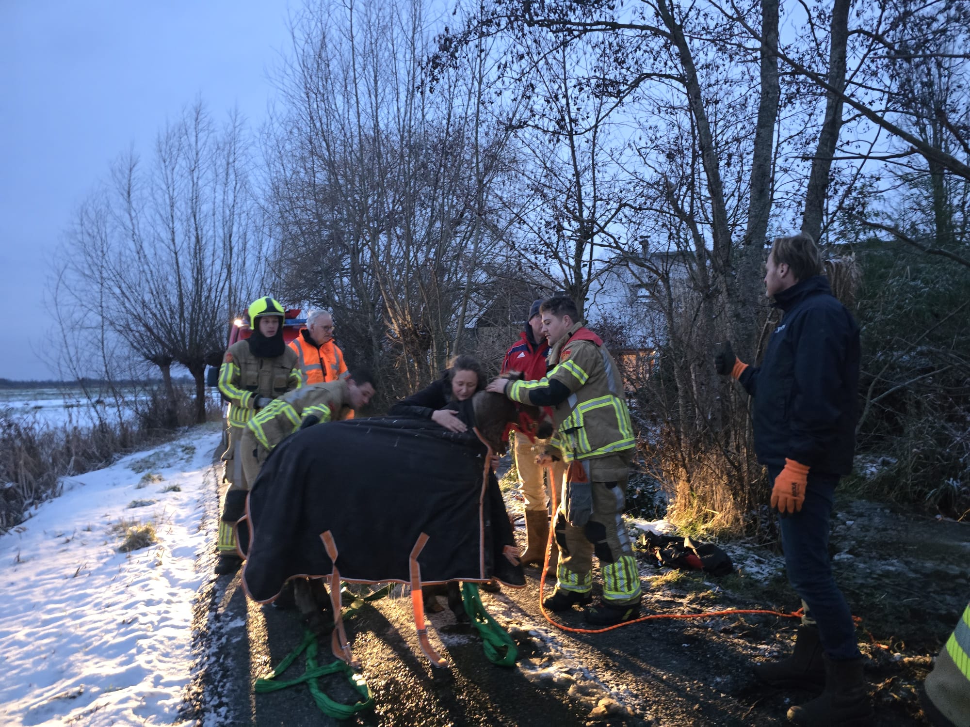 Brandweer redt pony uit ijskoud water aan Gravekoopsedijk