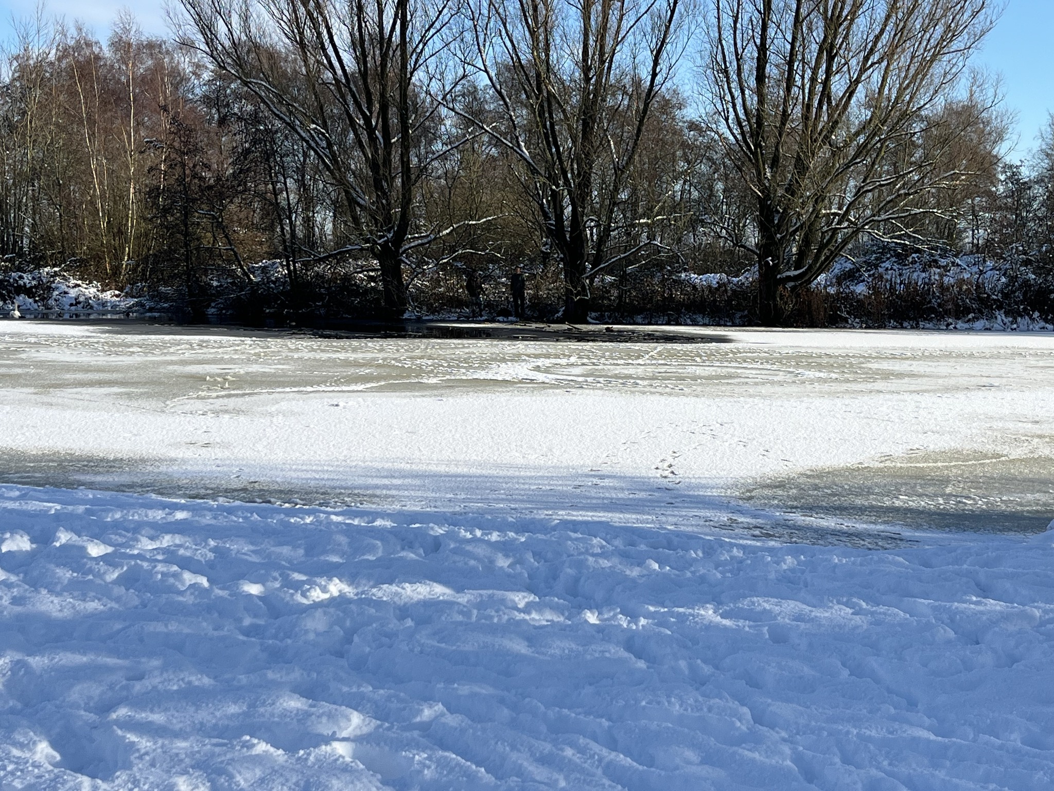 Hond zakt door het ijs bij Reeuwijksehoutwal, brandweer en duikers opgeroepen